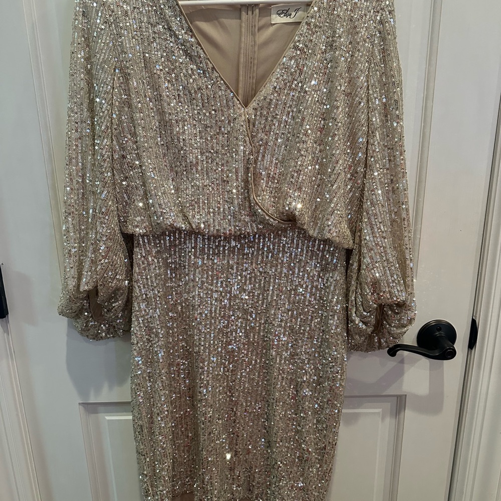 Silver Sequin Dress